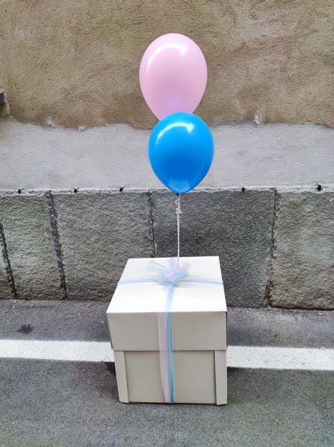 Baby reveal composizione palloncini scatola sorpresa