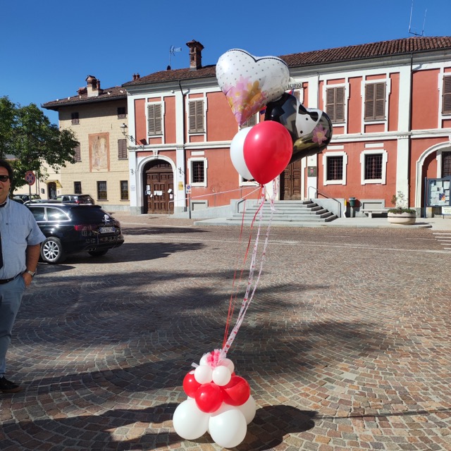 Composizione palloncini varie forme